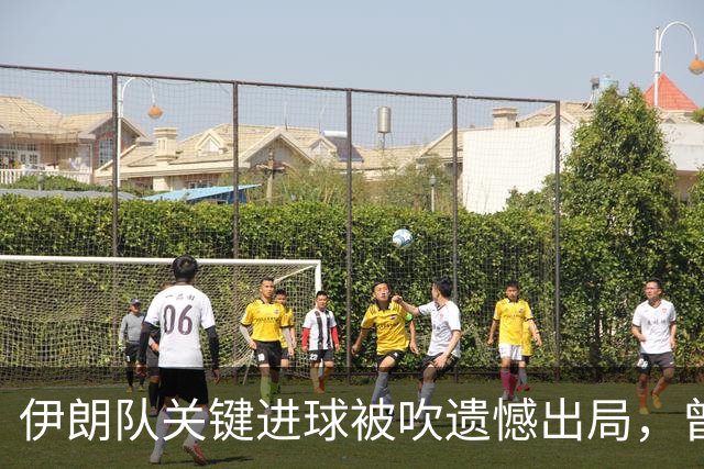 伊朗队关键进球被吹遗憾出局，曾任教哈佛大学的伊朗学者向FIFA索赔10亿美元