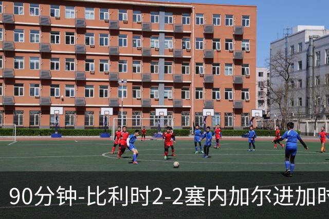 90分钟-比利时2-2塞内加尔进加时 卢卡库替补建功蒂莱曼斯绝平